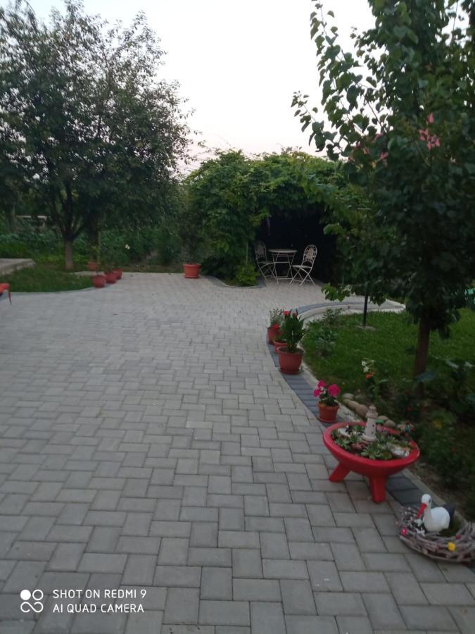 Agropensiunea Florina-Maria Branistea  Exterior foto