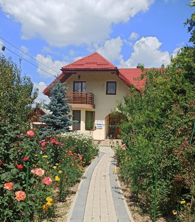 Agropensiunea Florina-Maria Branistea  Exterior foto